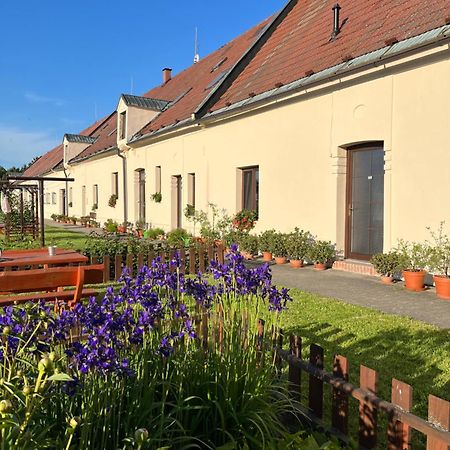 Hotel Dvůr Nové Zámky Mladec Esterno foto