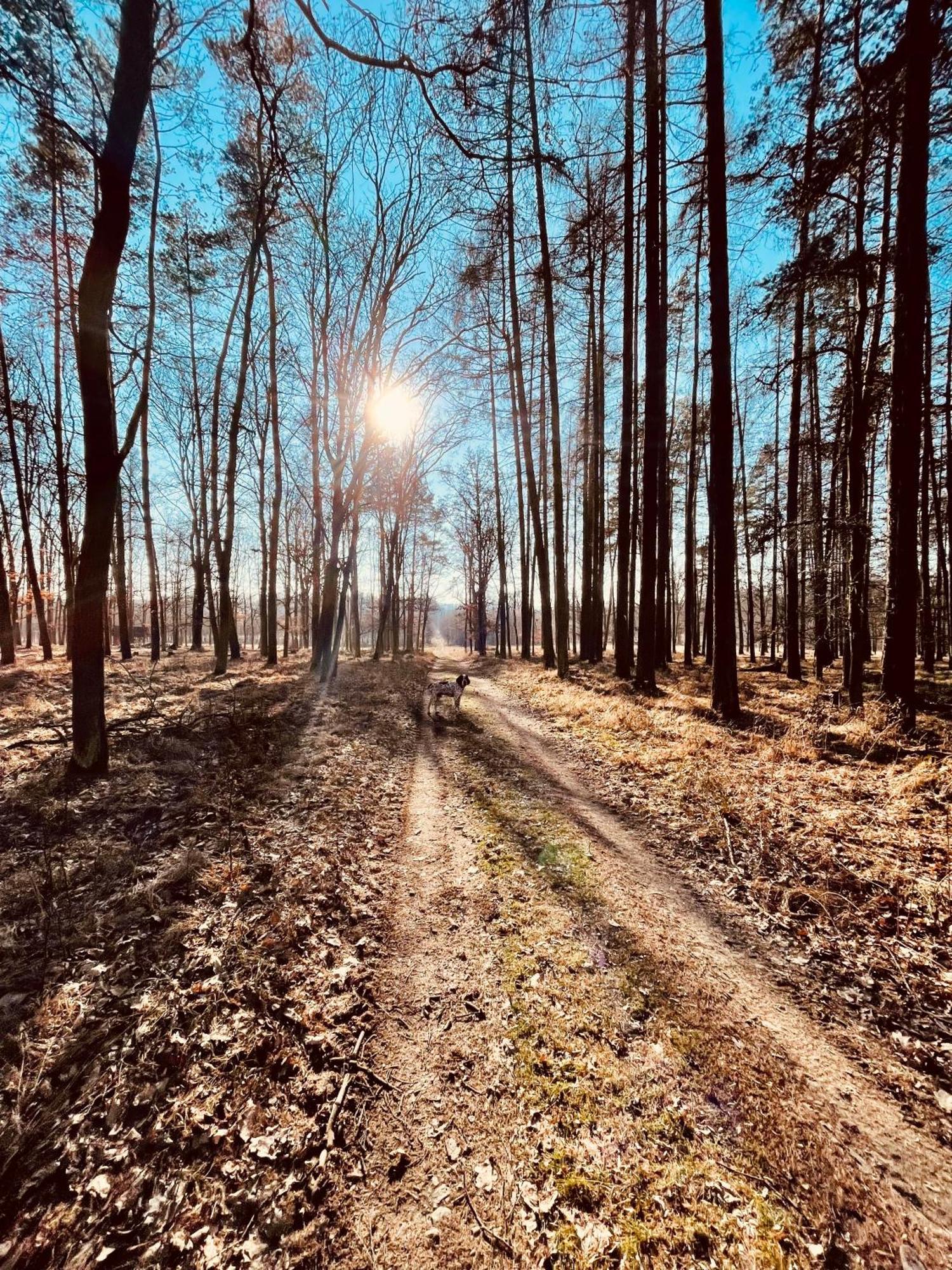 Hotel Dvůr Nové Zámky Mladec Esterno foto