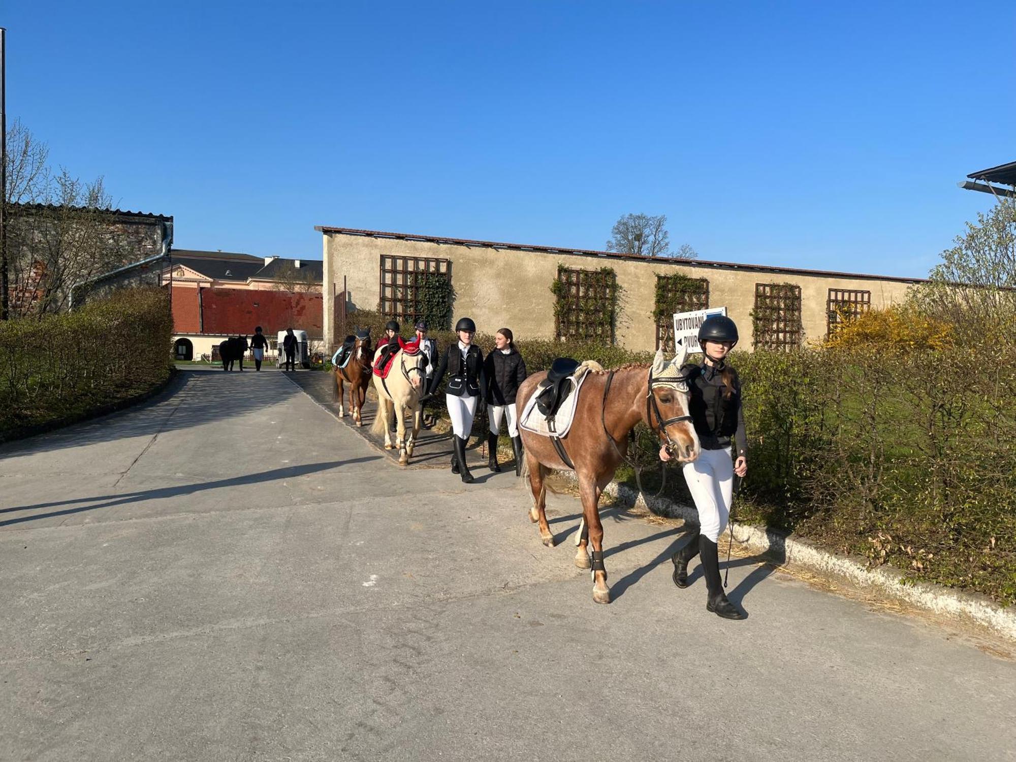 Hotel Dvůr Nové Zámky Mladec Esterno foto
