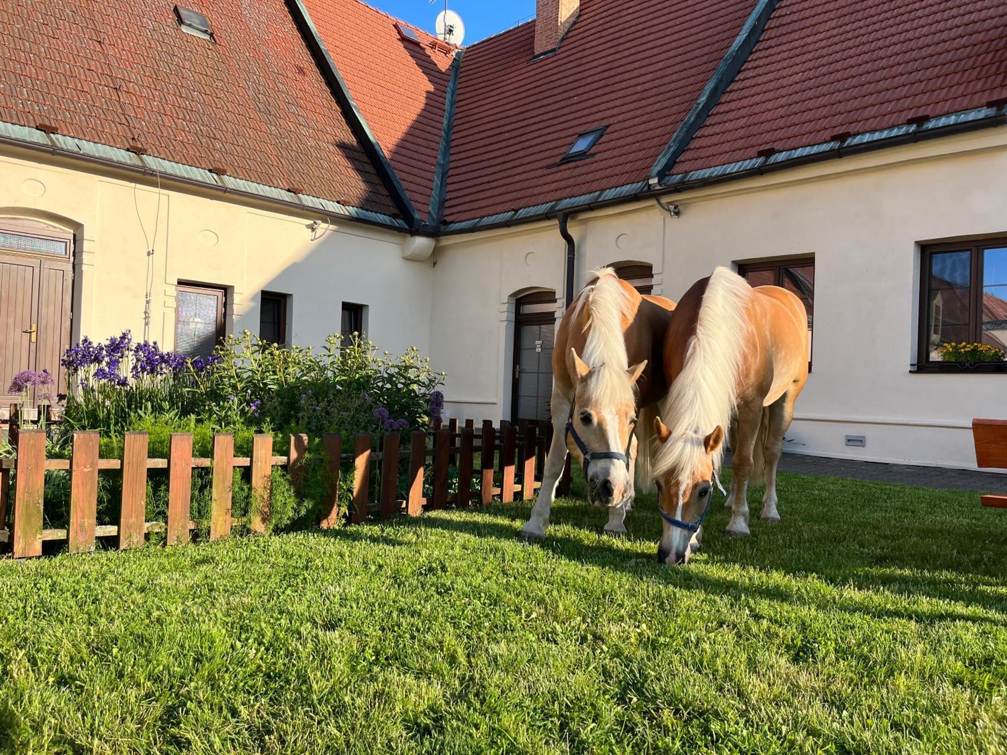 Hotel Dvůr Nové Zámky Mladec Esterno foto