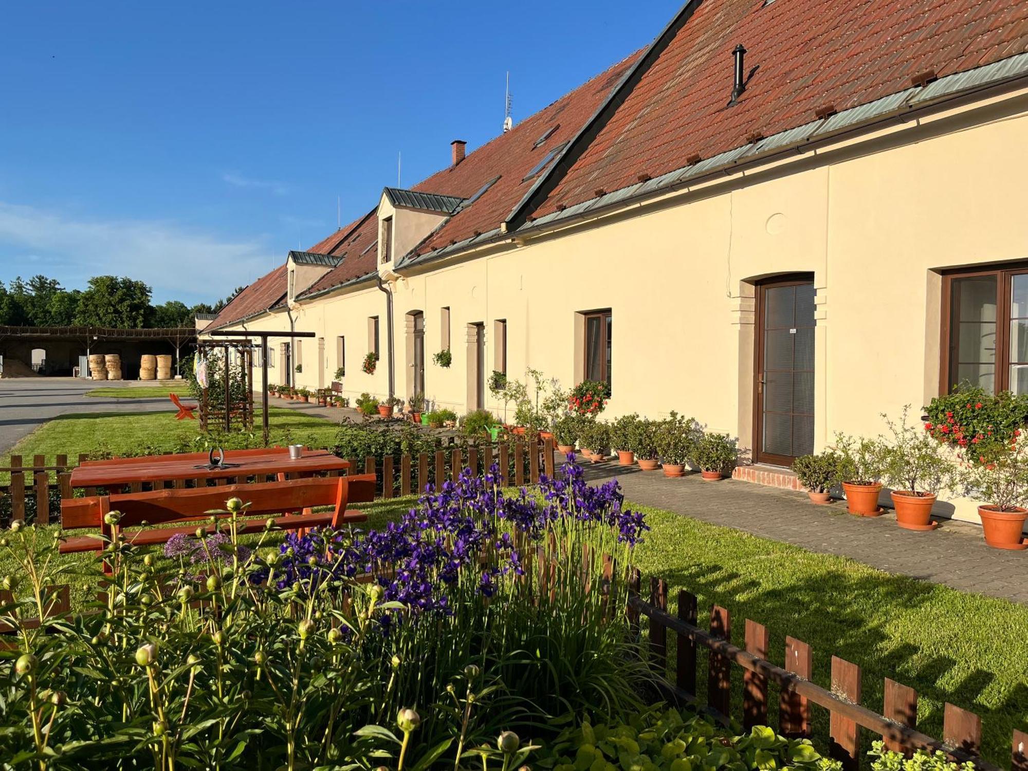 Hotel Dvůr Nové Zámky Mladec Esterno foto